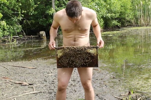 Aneh tapi nyata, pria ini kerja di pembibitan lebah tanpa busana!