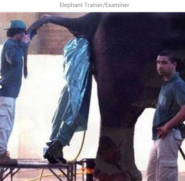 Pekerjaan Huhu © 2016 brilio.net Pekerjaan Huhu © 2016 brilio.net