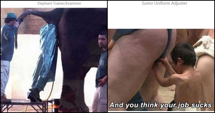 Lagi, 10 profesi ini aneh banget, bikin kamu mikir-mikir kerja begitu!