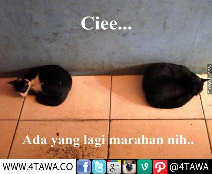Meme Lagi Marahan © 2016 brilio.net