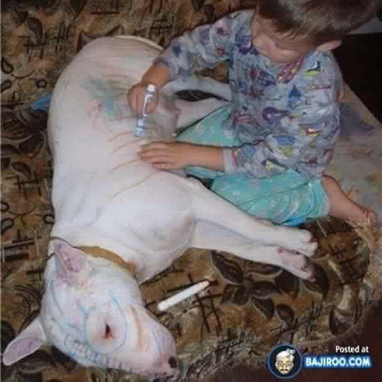 20 Sabtu © 2016 brilio.net 20 Sabtu © 2016 brilio.net