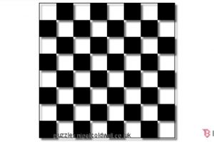 Uji kejelian matamu, hitung jumlah persegi dalam papan catur ini!