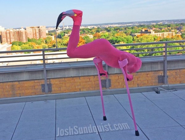 tingkah konyol satukaki © 2016 brilio.net