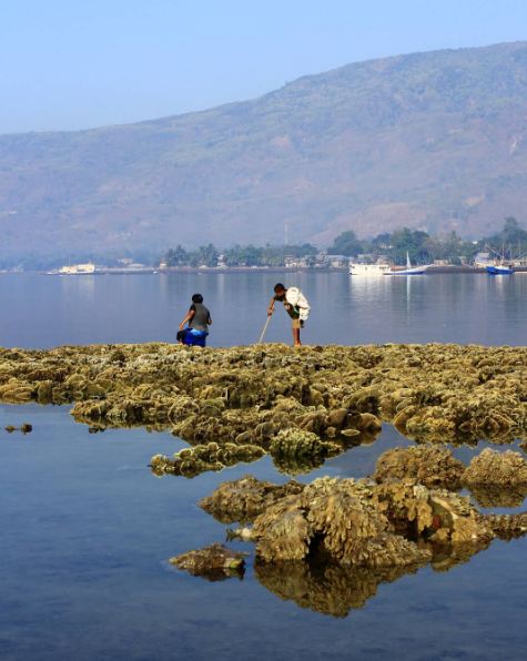 surga pulau alor © 2016 brilio.net