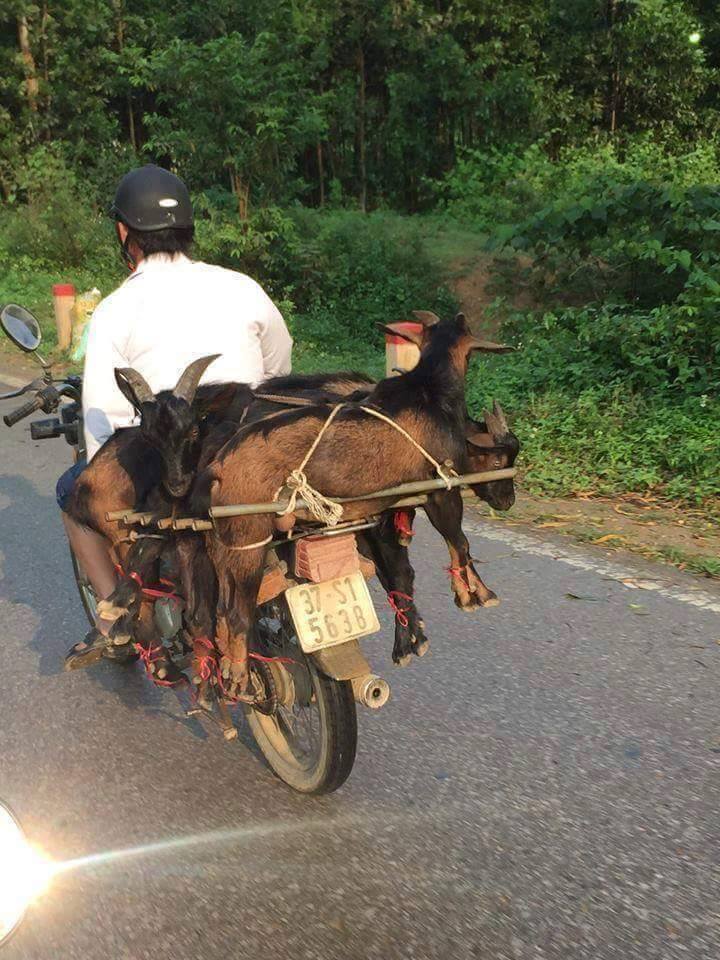 kelebihan muatan banget © 2016 brilio.net