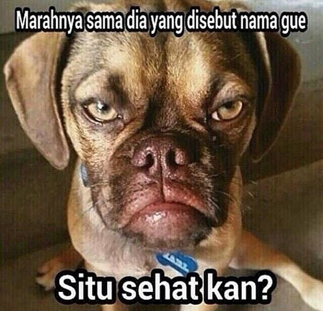 Meme menguji akal sehat © 2016 brilio.net