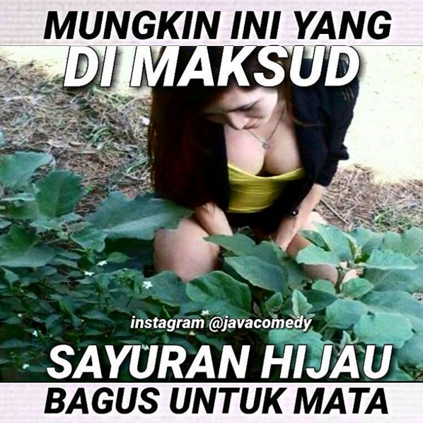 Meme inikah yang namanya © 2016 brilio.net Meme inikah yang namanya © 2016 brilio.net