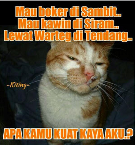 Apa kamu kuat kayak aku © 2016 brilio.net