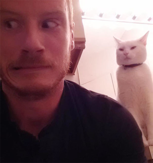 Kucing berwajah menakutkan © 2016 brilio.net