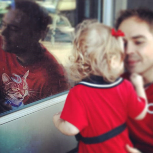 Kucing berwajah menakutkan © 2016 brilio.net