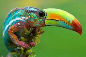 21 Hewan hibrida ini dijamin bikin kamu merinding, serem ya