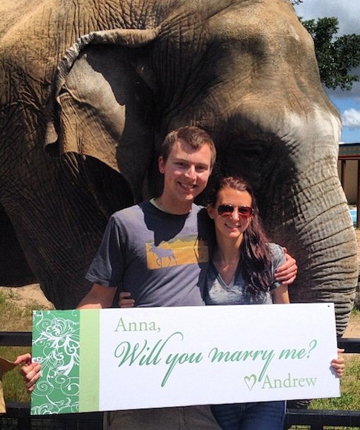 Lamar Pakai Hewan © 2016 brilio.net