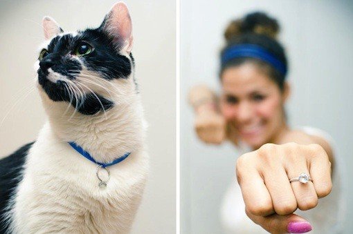 Lamar Pakai Hewan © 2016 brilio.net