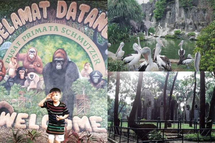 kebun binatang © 2016 brilio.net