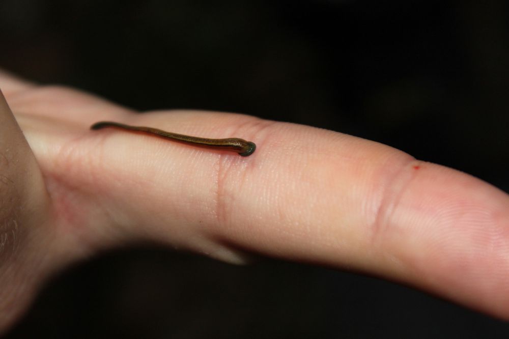 fakta menarik makeup © 2016 brilio.net fakta menarik makeup © 2016 brilio.net