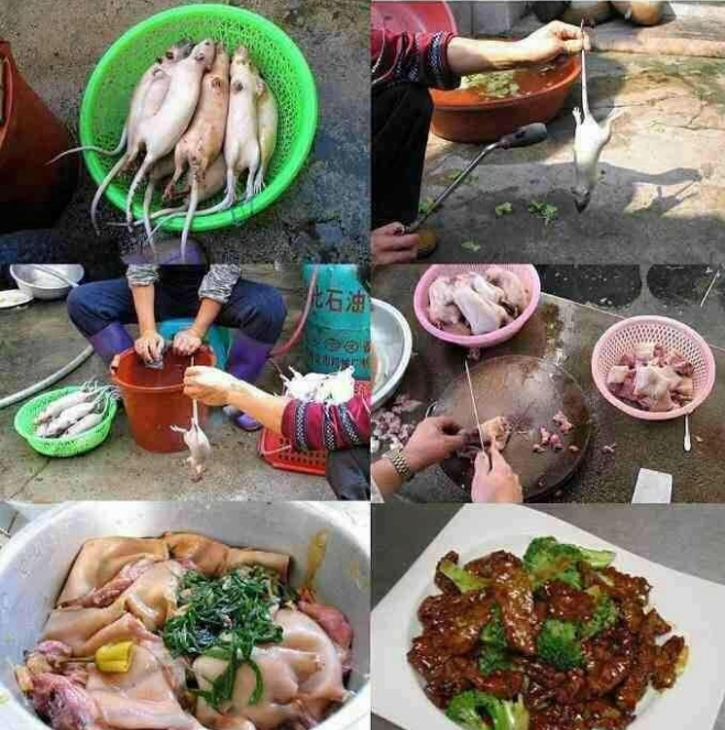 10 Makanan palsu buatan China, ada daging tikus rasa daging sapi