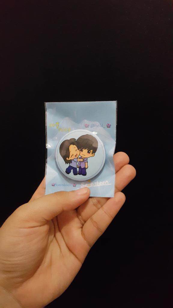 fansupport seventeen © 2016 brilio.net