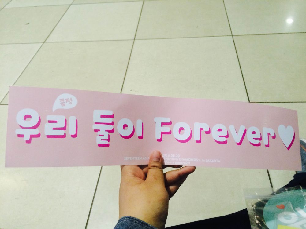 fansupport seventeen © 2016 brilio.net