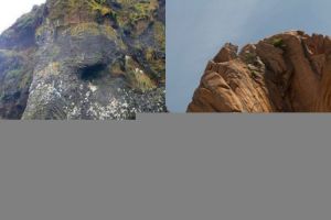 12 Batuan alam ini mirip hewan, bikin geleng-geleng takjub lho