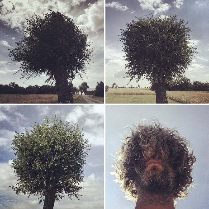 Lillwihlen © 2016 brilio.net Lillwihlen © 2016 brilio.net