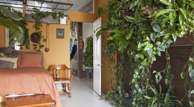 Rayne © 2016 brilio.net