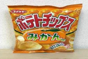 Keripik kentang ini diracik pakai bumbu khusus, rasanya jeruk mandarin