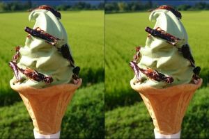 Es krim di Jepang ini pakai toping belalang, mau coba?