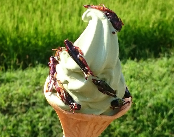 Es krim di Jepang ini pakai toping belalang, mau coba?