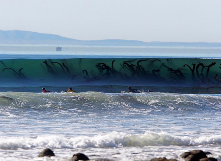 13 Foto ini tunjukkan ada bahaya di balik keindahan lautan, waspada..