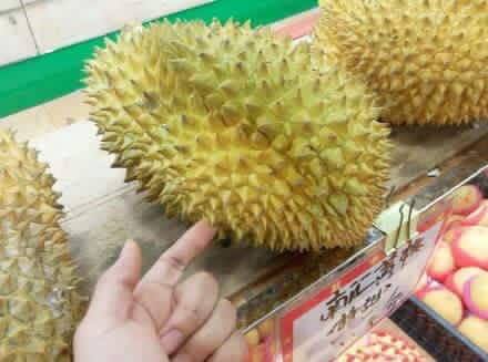 Ini wujud durian usai dibuat trondol! Pelaku dituding sebar aib durian