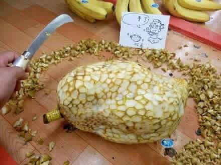 durian trondol  © 2016 brilio.net