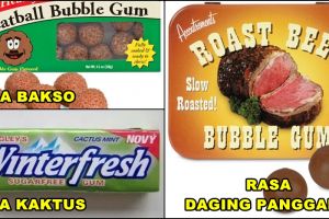 20 Permen karet paling absurd, ada yang rasa bulu kucing!