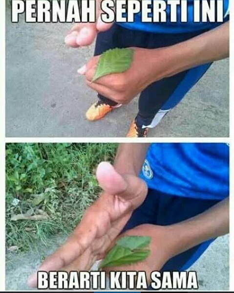 Meme berarti kita sama © 2016 brilio.net