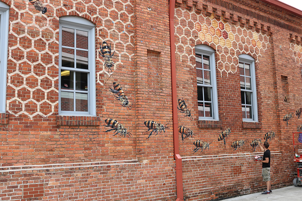 Misi pria bikin lukisan lebah madu di tembok berbagai negara ini mulia