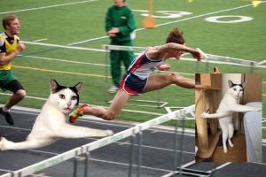 10 Foto editan pose kucing ini dijamin bikin ketawa dan hilangkan bete