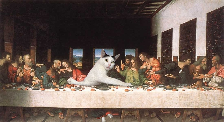 editan foto kucing © 2016 brilio.net