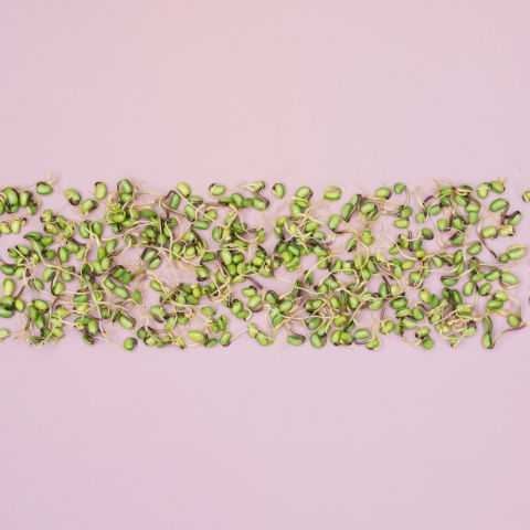 makanan anti tua © 2016 brilio.net