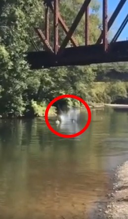 Orangtua ini bersorak gembira saat anaknya dilempar ke sungai, duh