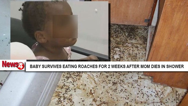 Terjebak 2 minggu dalam rumah, balita ini terpaksa memakan kecoak