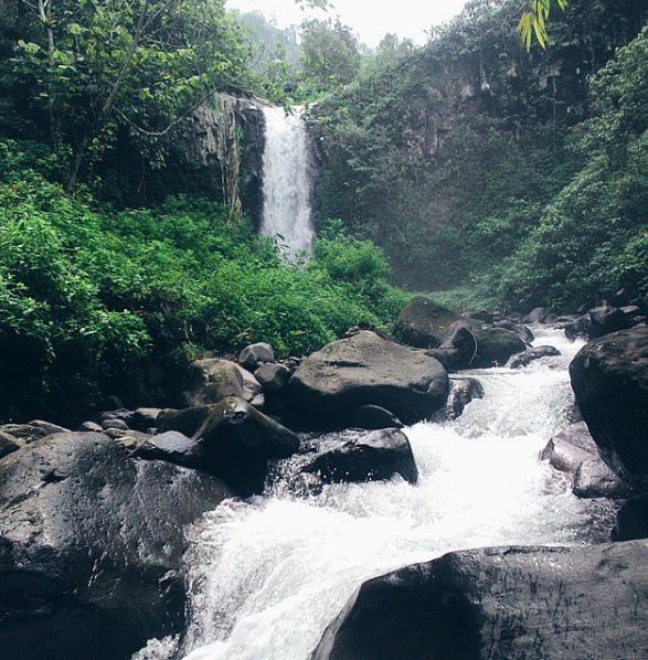 destinasi Jember © 2016 brilio.net