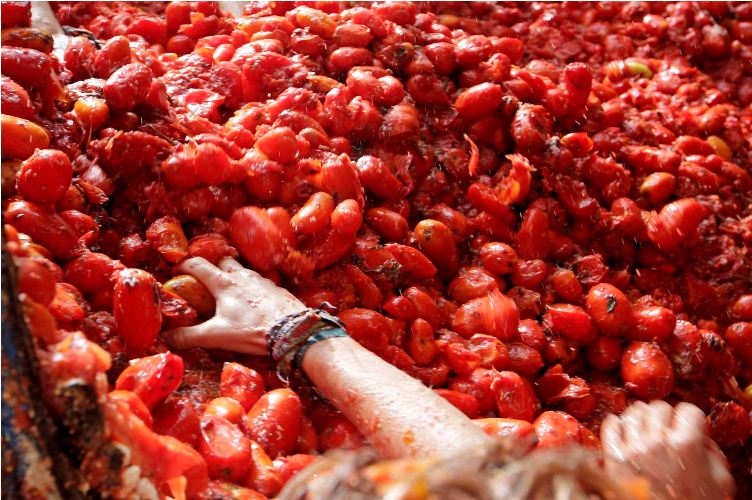 12 Foto tunjukkan serunya perang tomat di Spanyol, jadi pengen ikut
