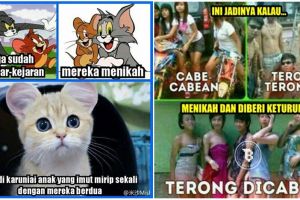 10 Meme kocak perkawinan silang ini bikin ketawa geli