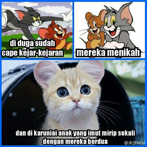 Meme perkawinan silang © 2016 brilio.net