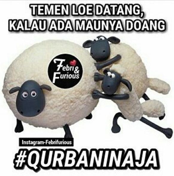 qurbanin aja © 2016 brilio.net