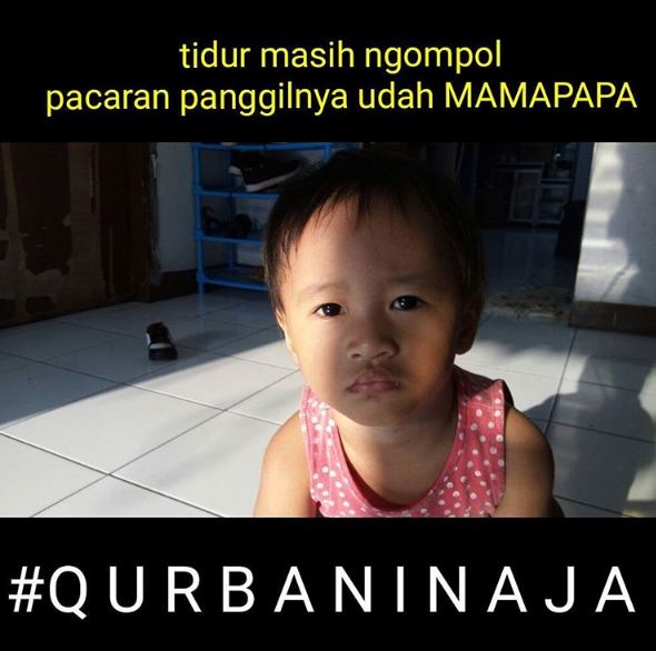 qurbanin aja © 2016 brilio.net