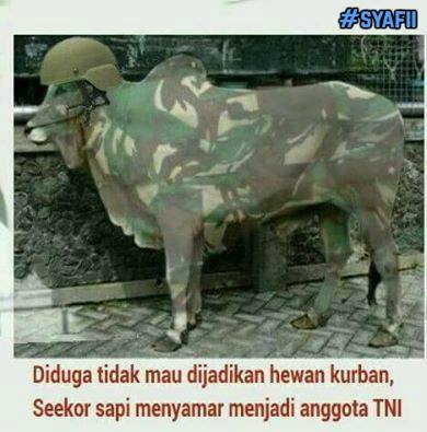 Meme diduga © 2016 brilio.net Meme diduga © 2016 brilio.net