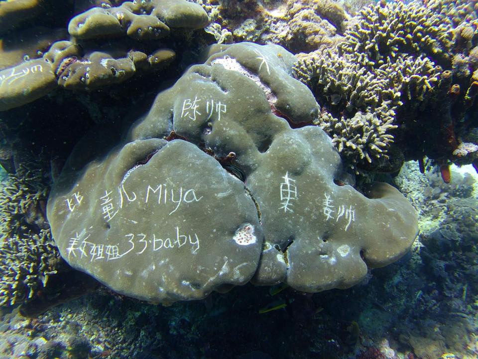 Miris, terumbu karang di Nusa Penida dicoret-coret