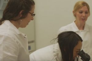 Senyawa narkoba diklaim bisa sembuhkan Virus Zika