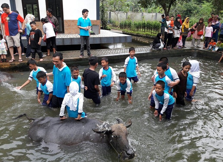 Petualang Cilik © 2016 brilio.net