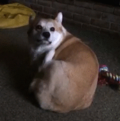 manfaat penyegar mulut  © 2016 brilio.net